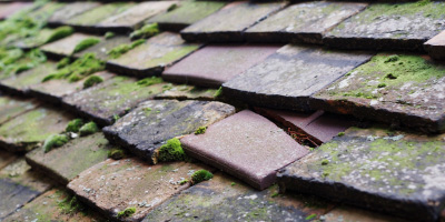Trefor roof repair costs
